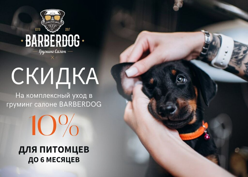 Зоосалон, зоопарикмахерская Barberdog, Москва, фото