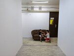 Уютный логопед (ulitsa Marshala Eryomenko, 17), speech therapists