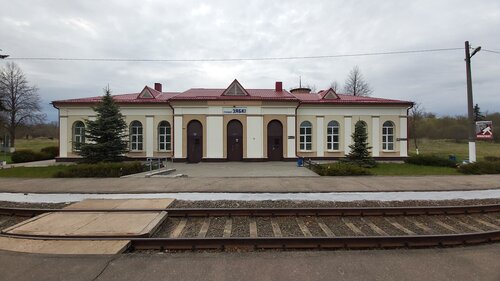 Железнодорожная станция Зябки, Витебская область, фото