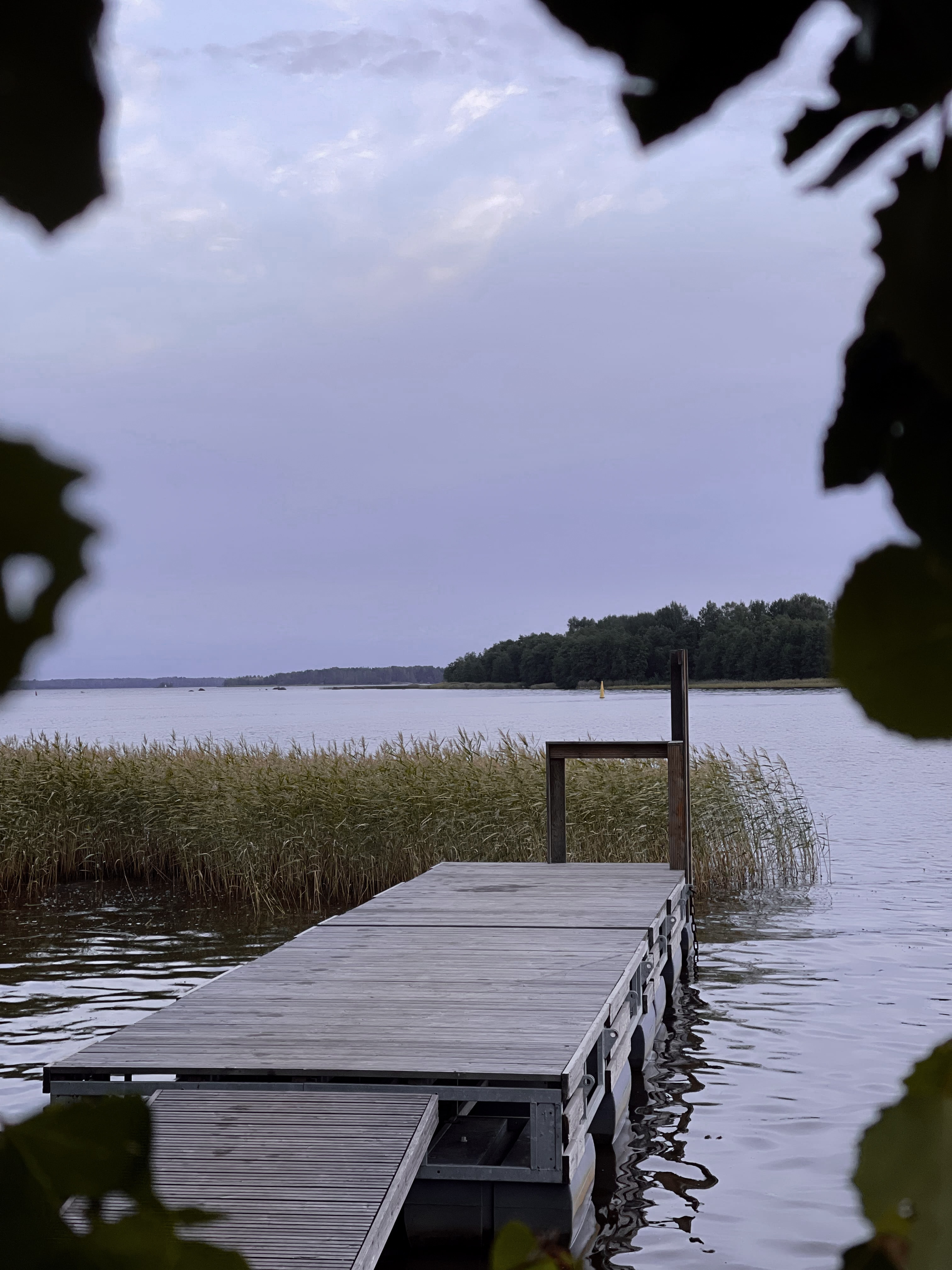 Фото Фрегат