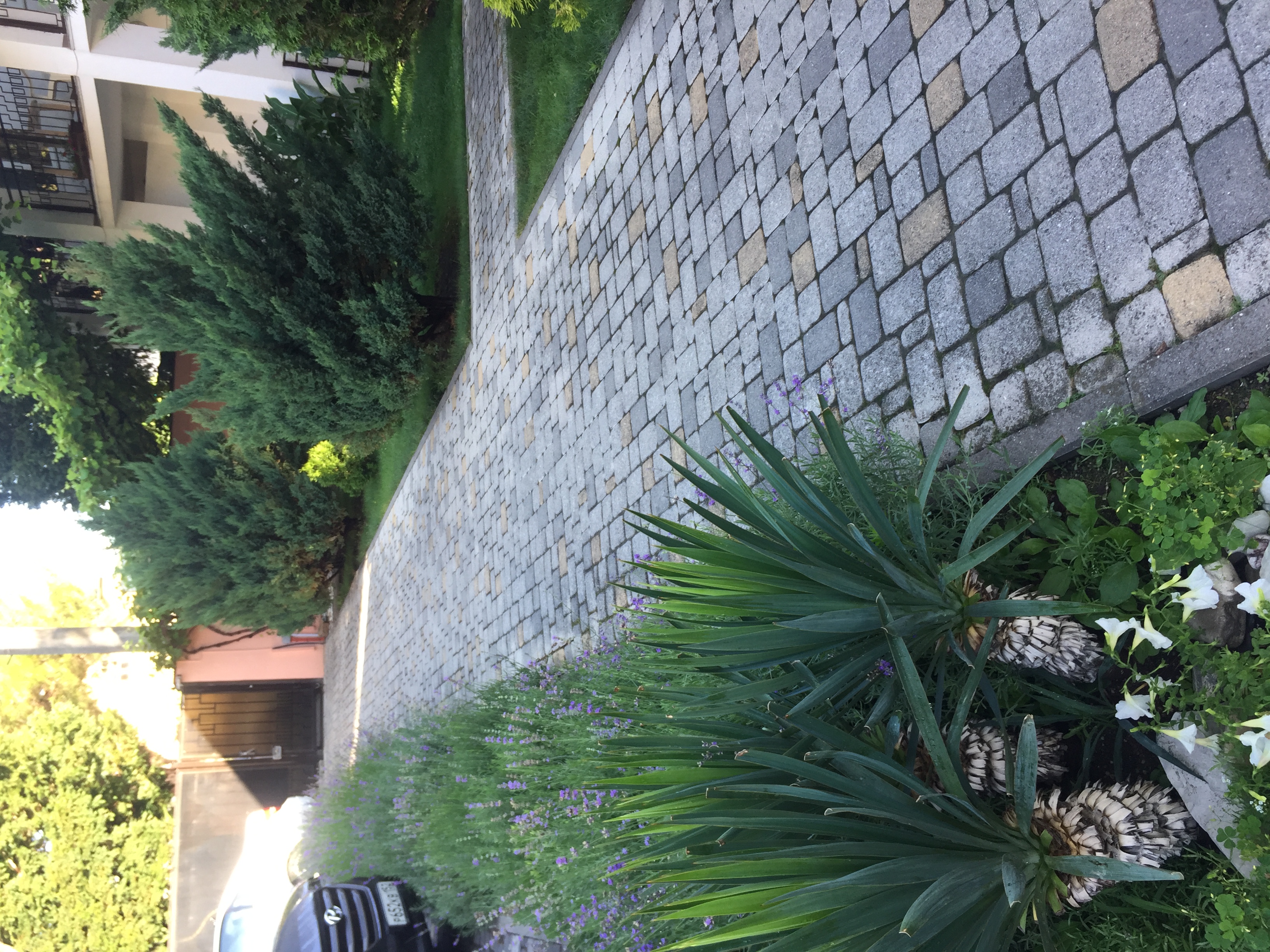 Фото Глориос