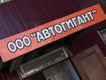 Avtogigant (Industrialnaya ulitsa, 14с11) ، متجر قطع غيار ولوازم السيارات