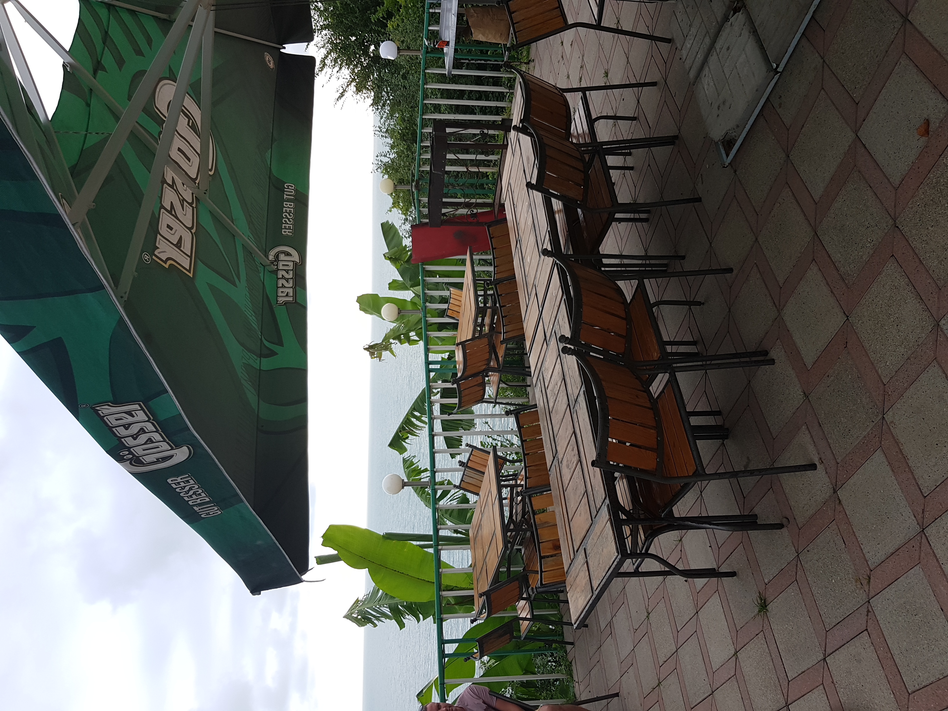 Фото Чемитка