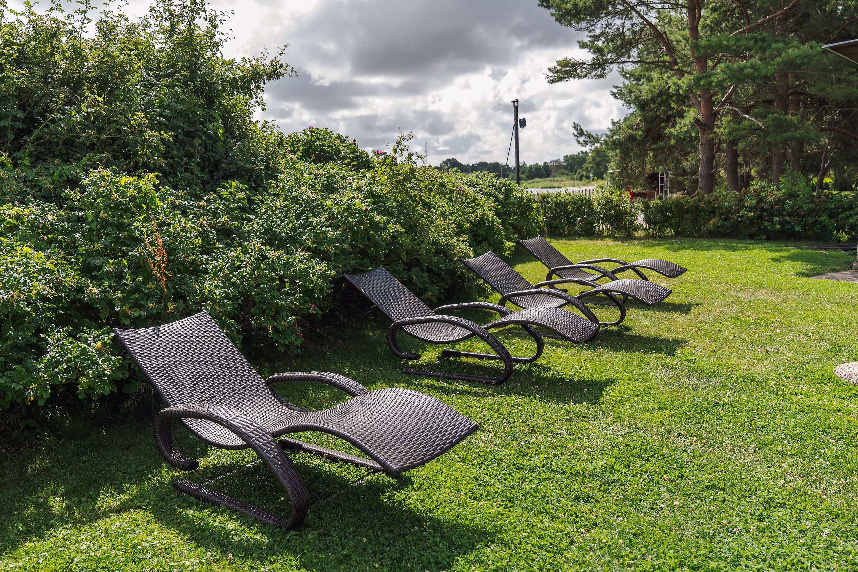 Фото Альтримо