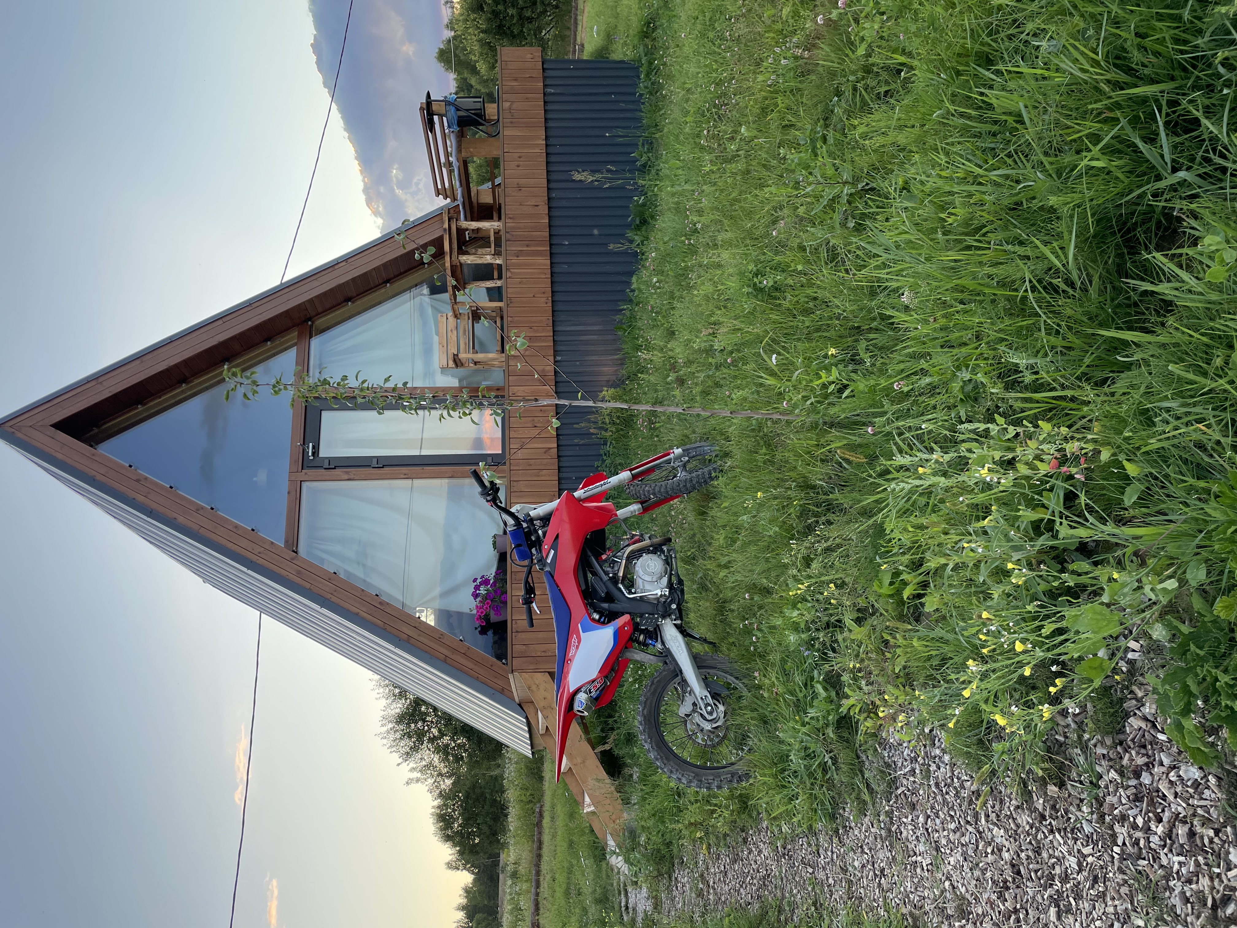 Фото Лаванда