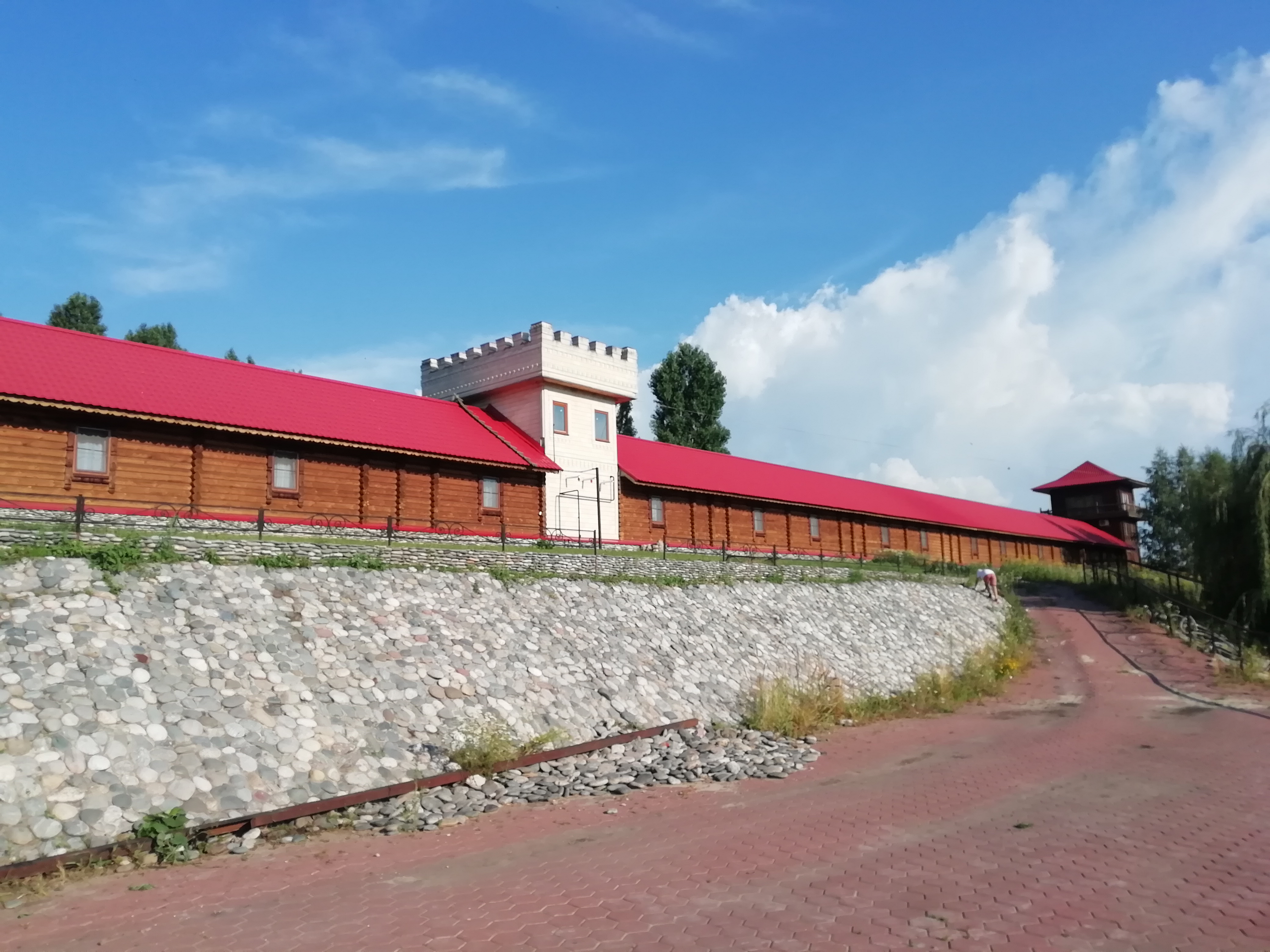 Фото Кленовая роща