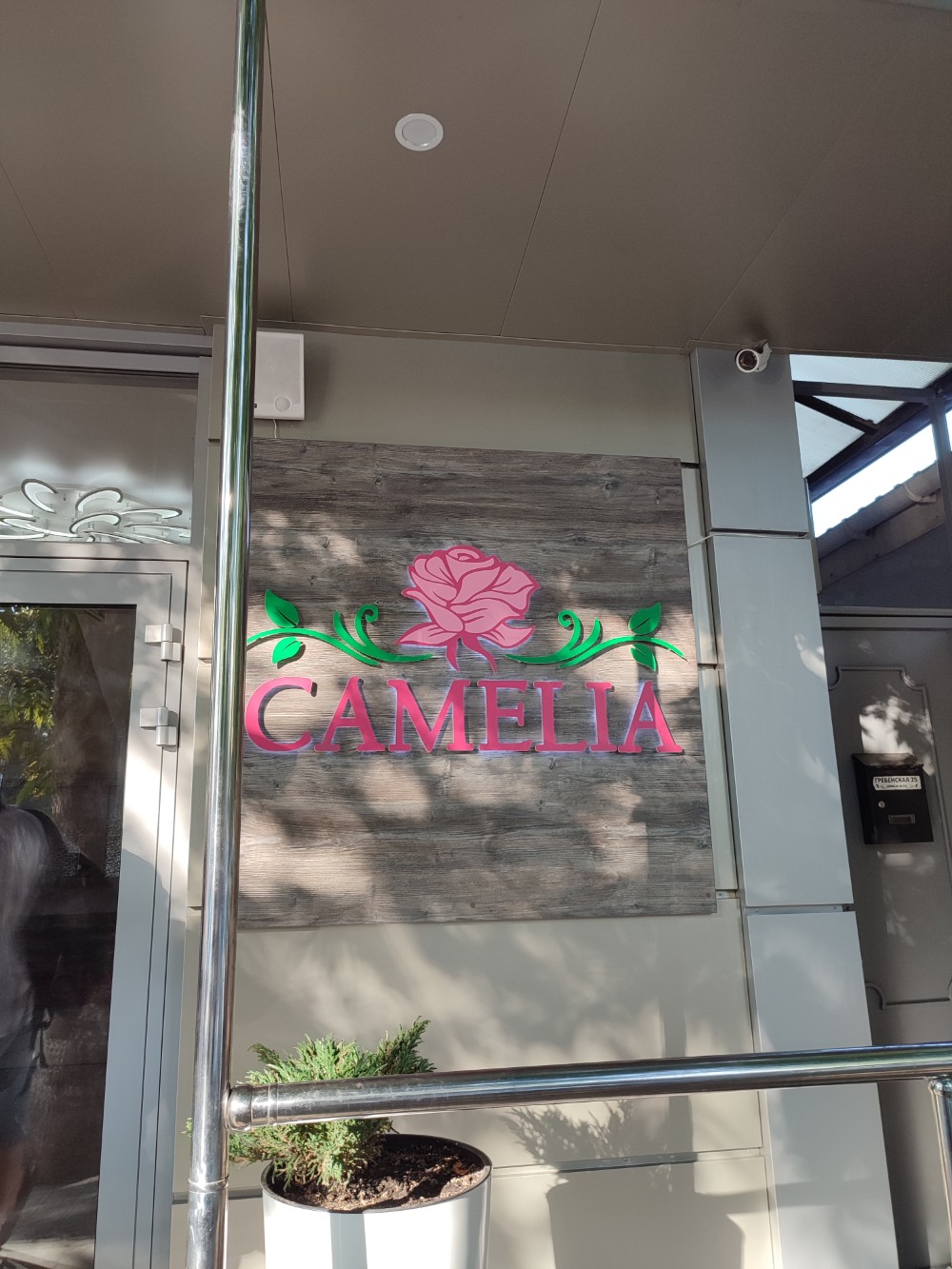 Фото Камелия