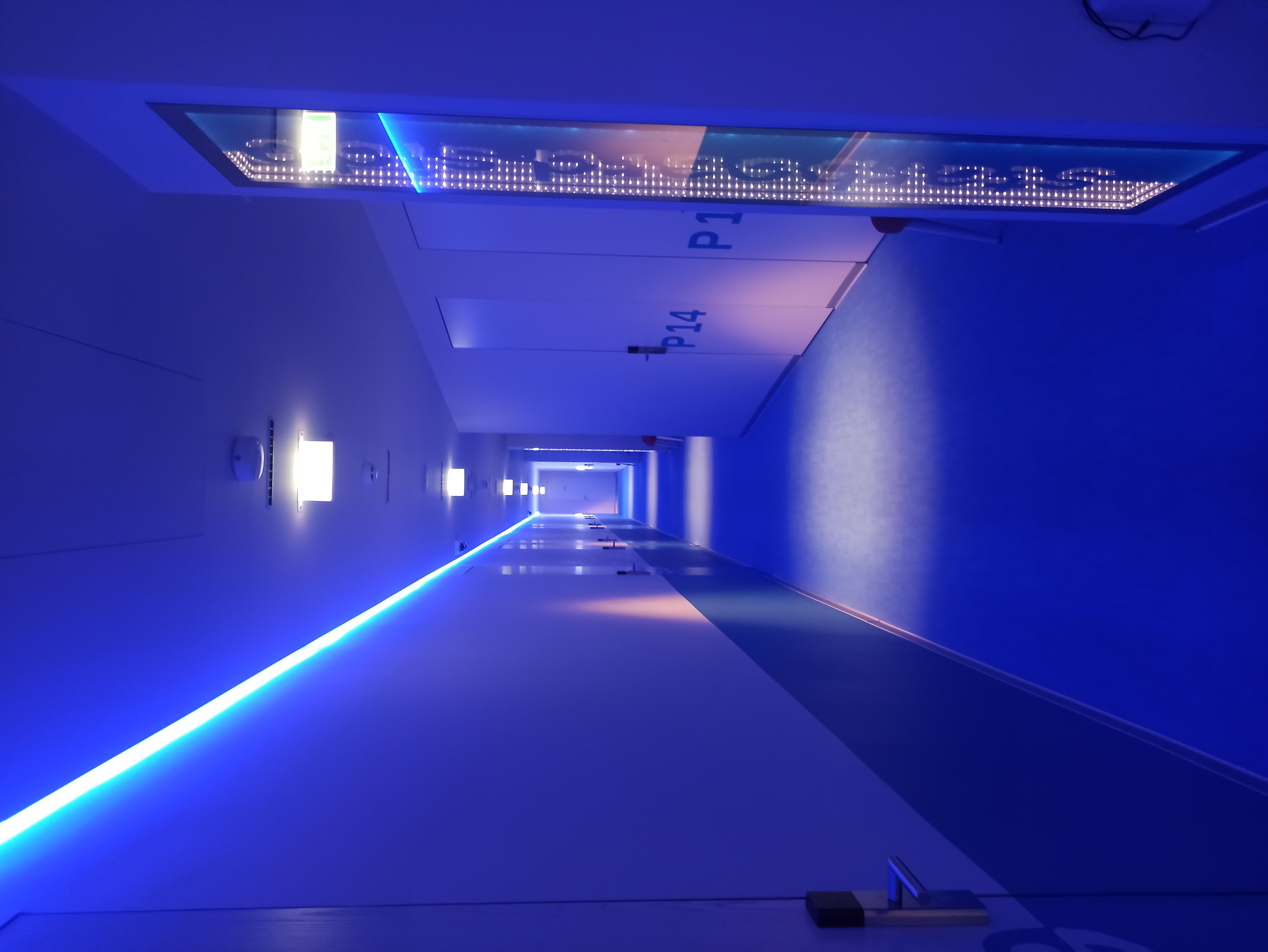 Фото Старборт