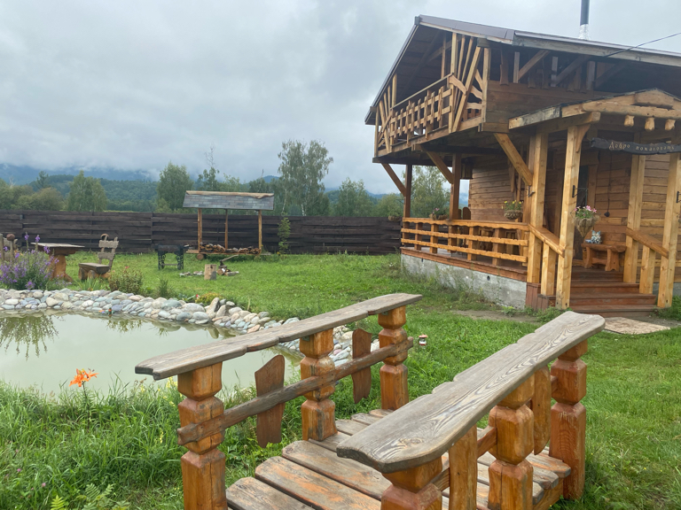 Фото Медуница