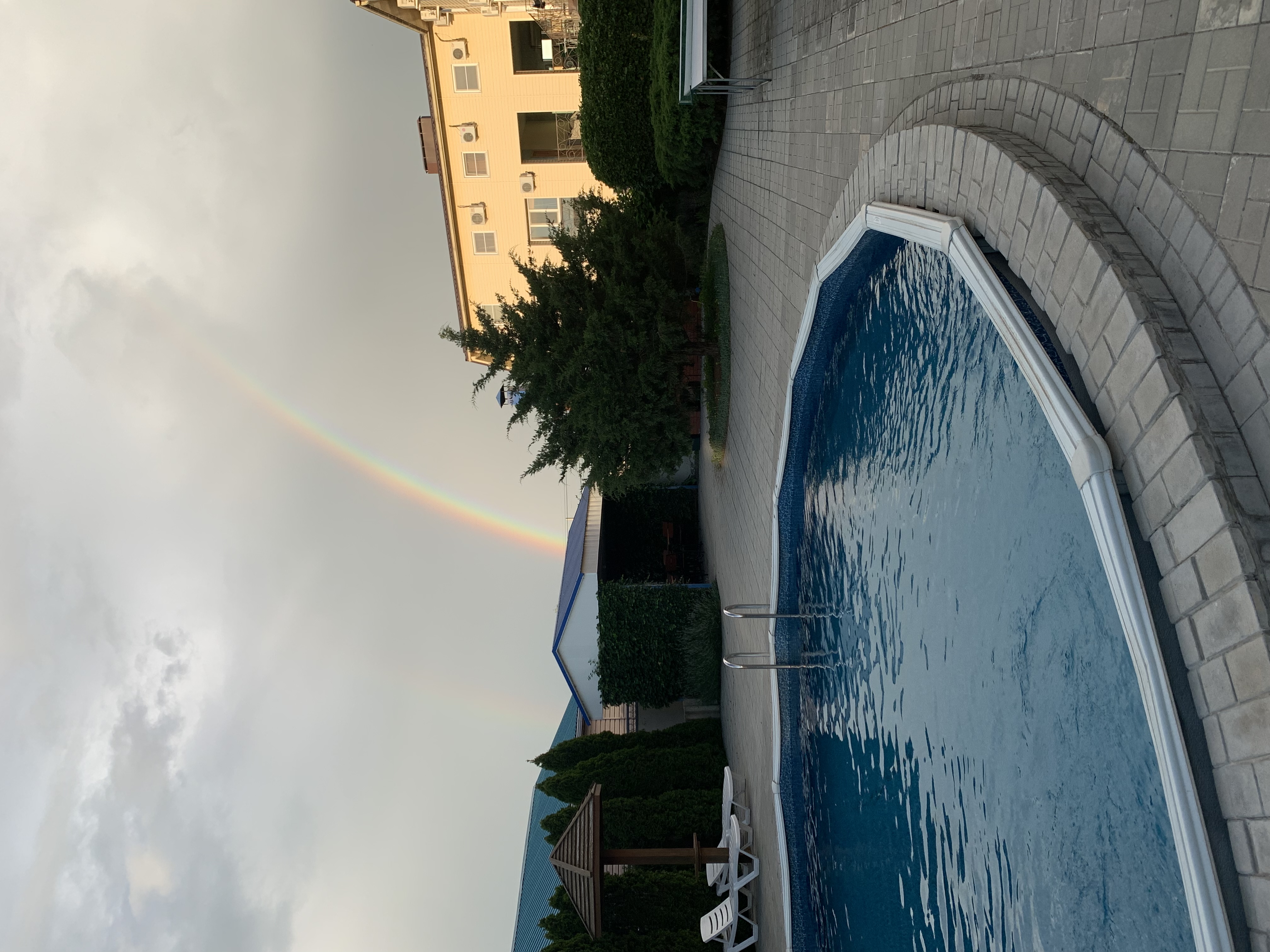 Фото Дельфин