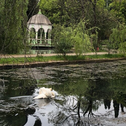 Гостиница Водопад в Новом Афоне