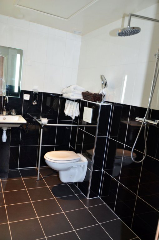 Фото Hotel Regina Montmartre