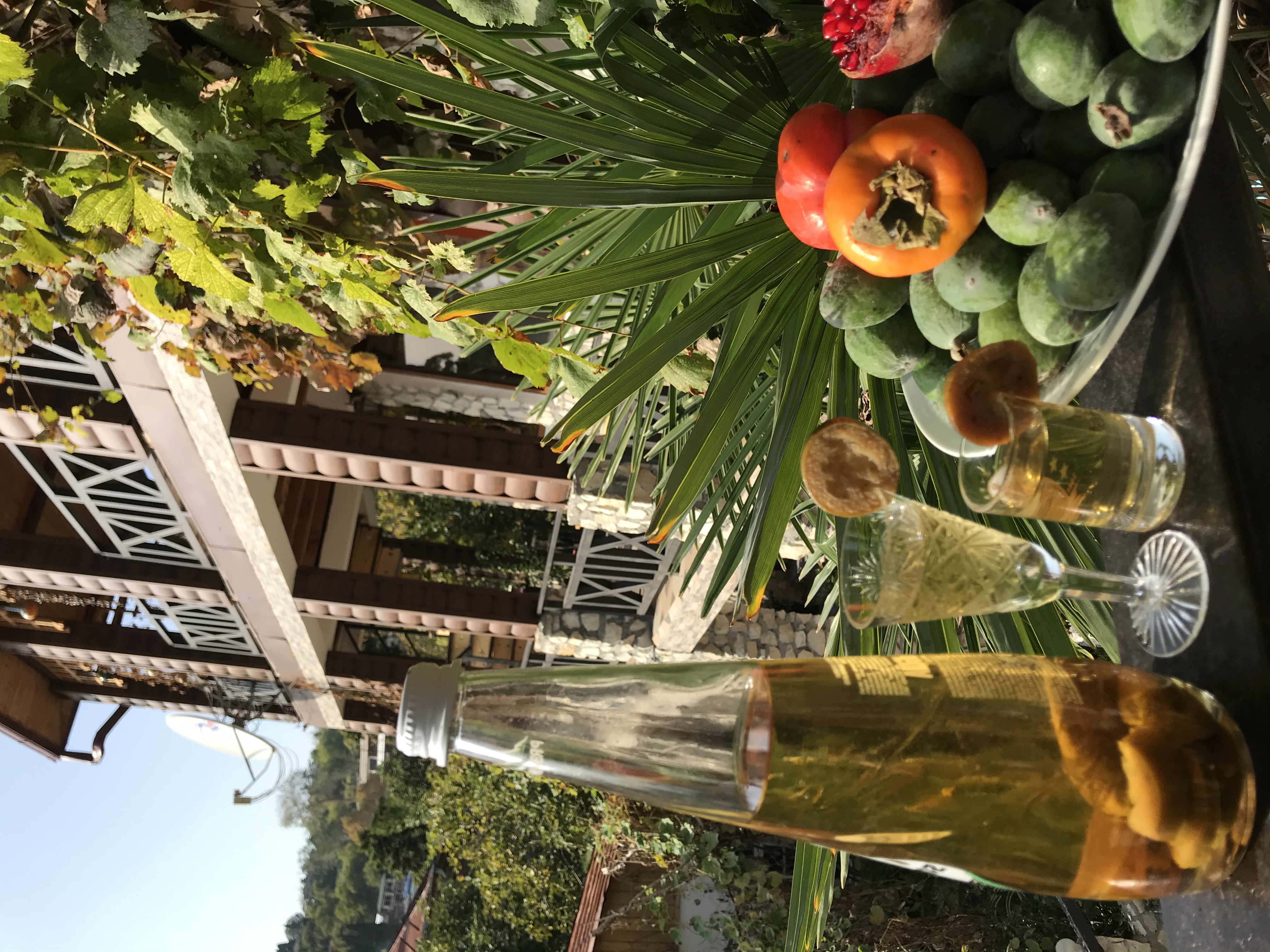 Фото Эль Платано