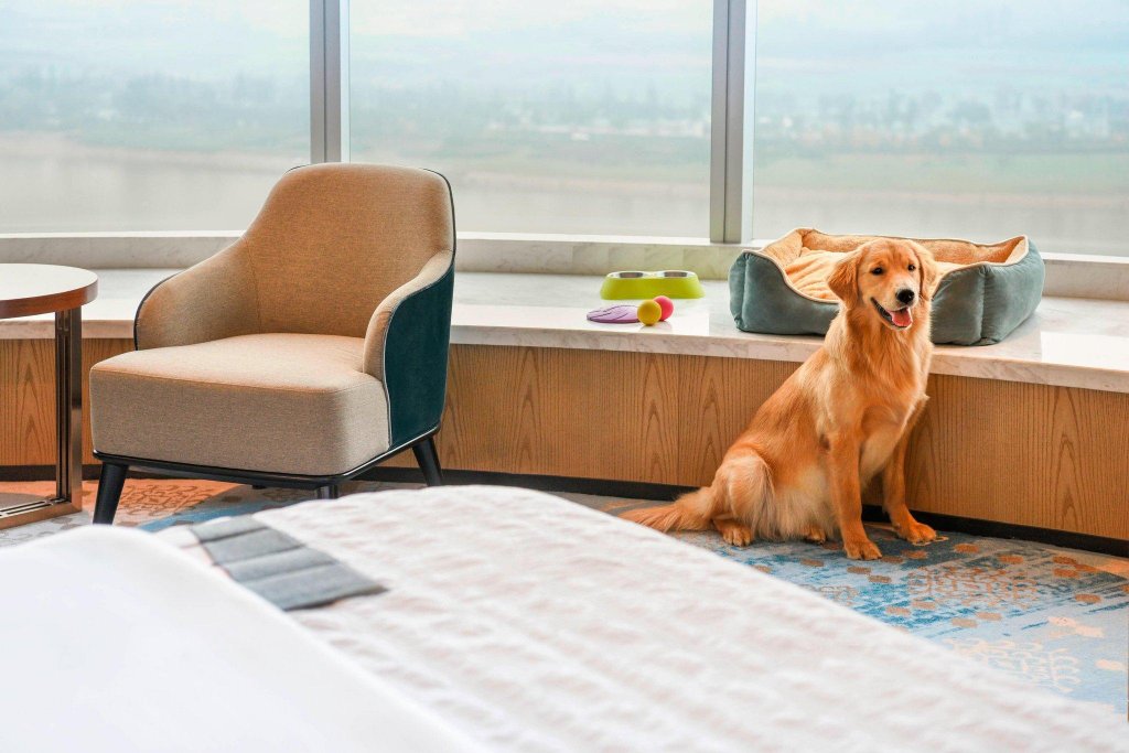 Фото Le Meridien Xi'an Chanba