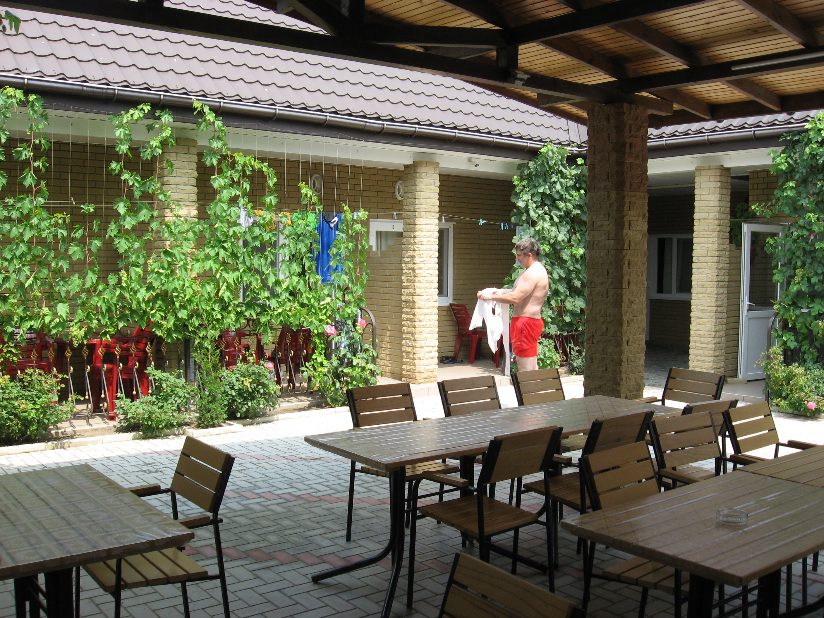 Фото Александрия