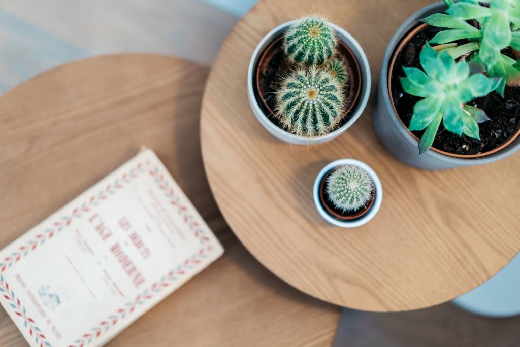 Фото The Lisboans Apartments