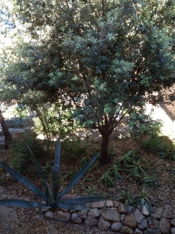 Фото Asis de Marratxinet