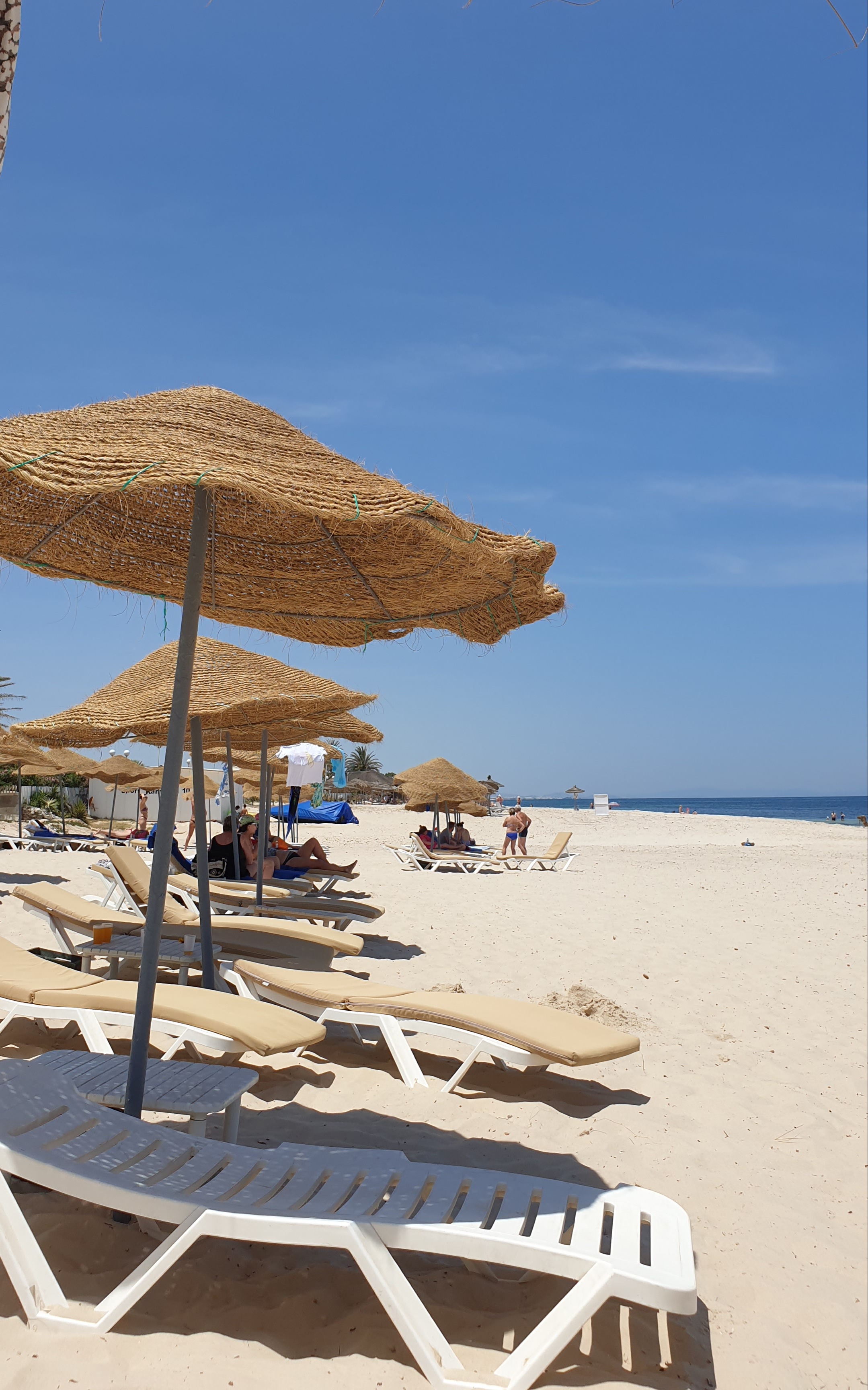 Фото 135145736636