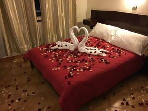 Гостиница Hôtel Des Lilas
