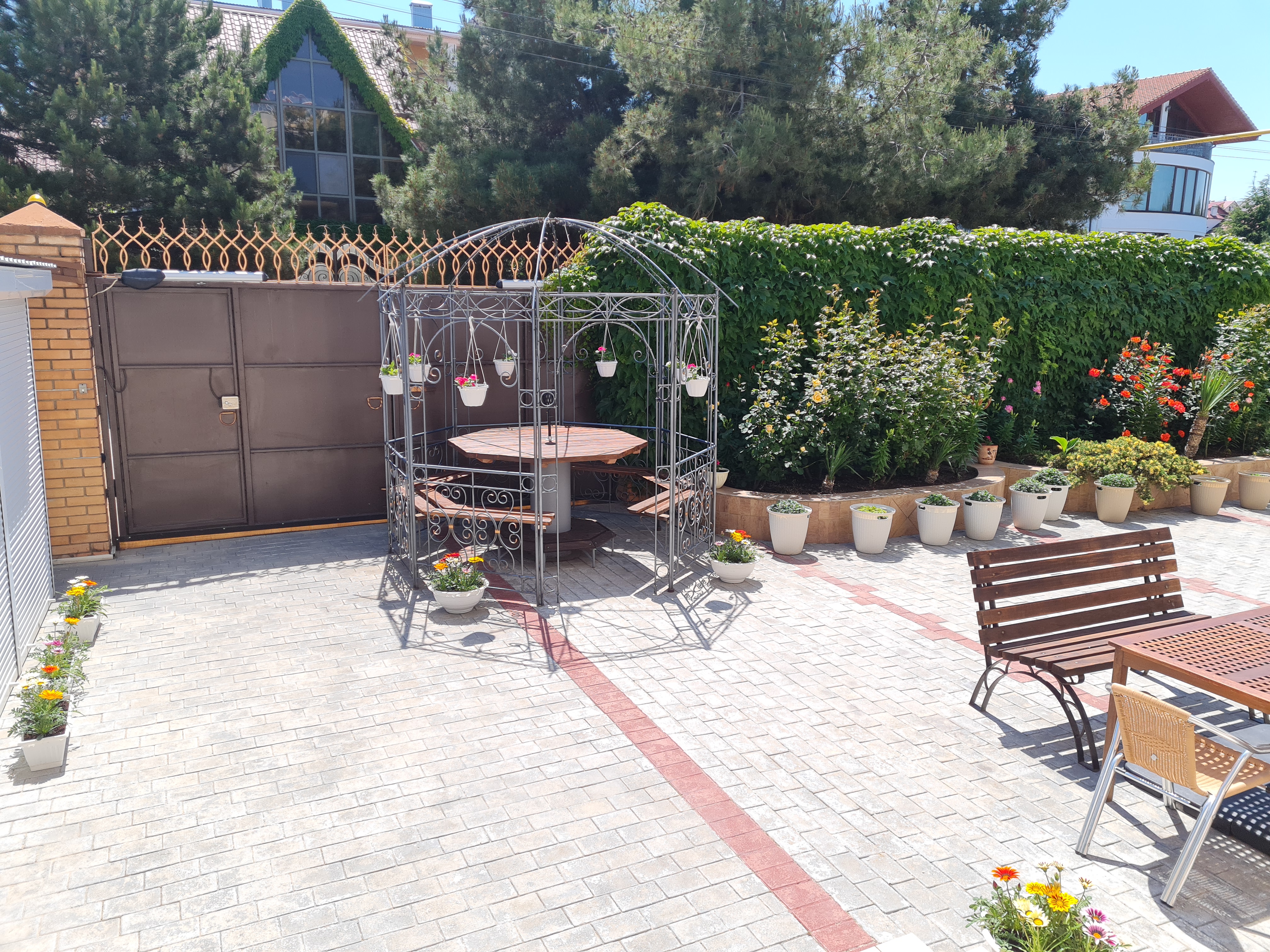 Фото АллаЯ Роза