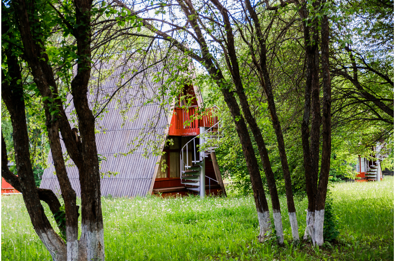 Фото Барбекю-парк Мечтатели