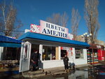 Амелия (ulitsa Fakel Sotsializma, 15), flower shop