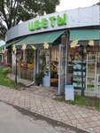 Nadezhda (Savushkina Street, 8), floristeria