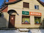 Gedeon (ulitsa Starshiny Dadayeva, 5), pharmacy