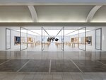 Apple Penn Square (Oklahoma, Oklahoma City), phone repair