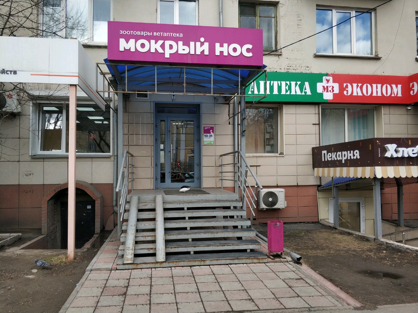 Мокрые носики просп космонавтов 1 фото
