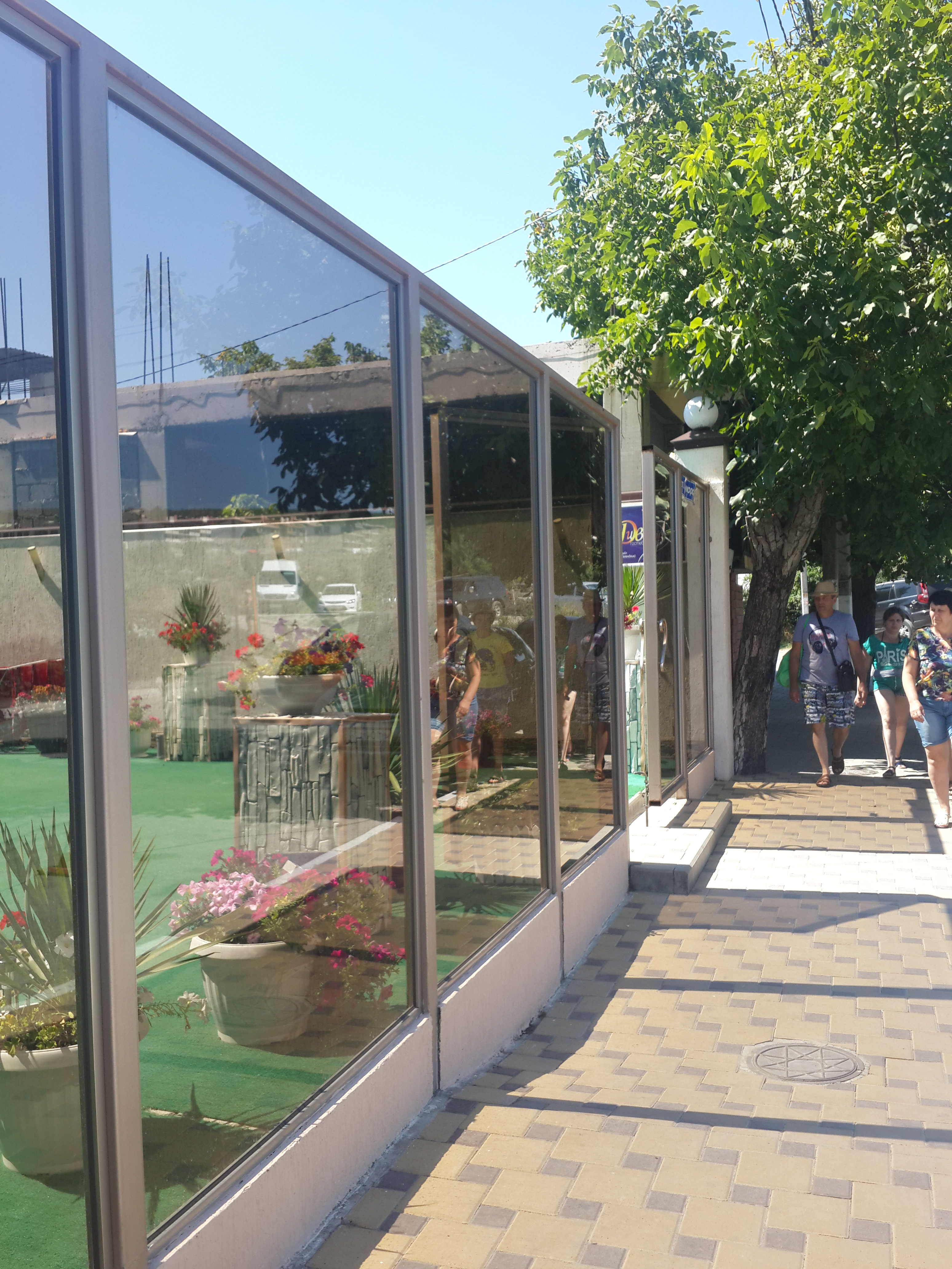 Фото Дивный