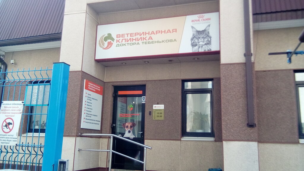 Ветеринарная клиника ул фрунзе 3 фото