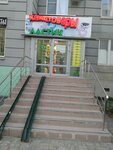 Ластик (ул. 43-й Армии, 21, Подольск), магазин канцтоваров в Подольске