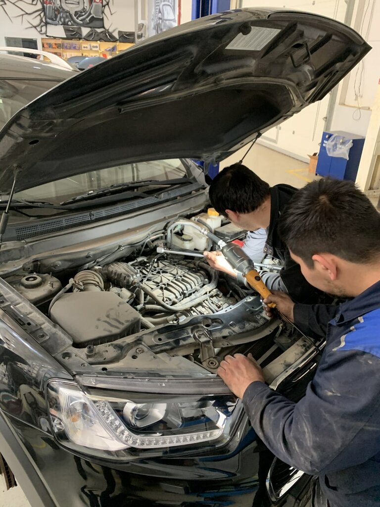 Trade in Uzbekistan автосалоны