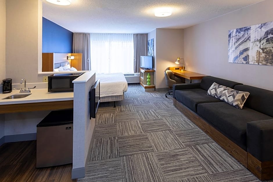 Фото SpringHill Suites by Marriott Rochester-Mayo Clinic/St Marys