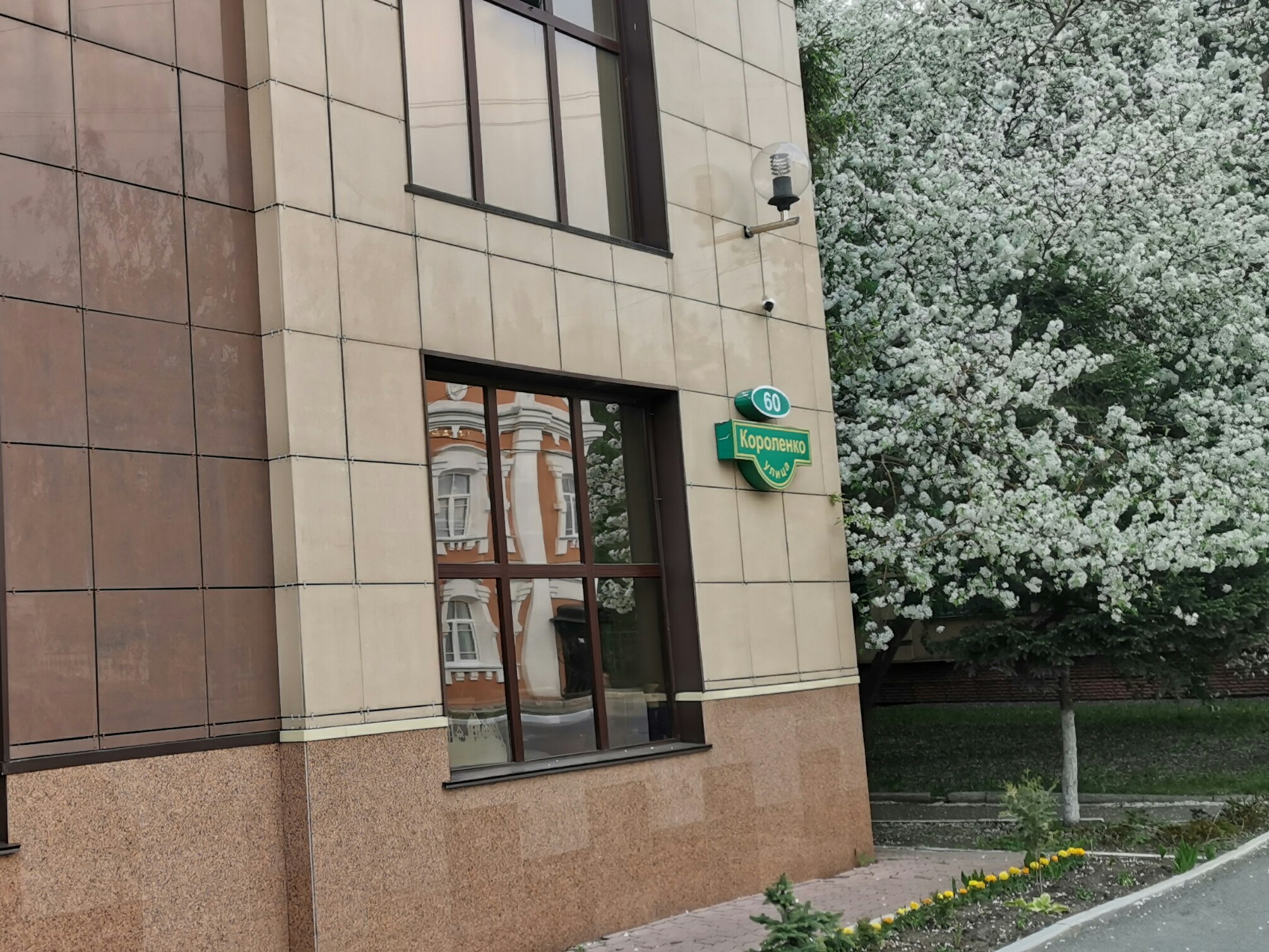 Фото Улитка