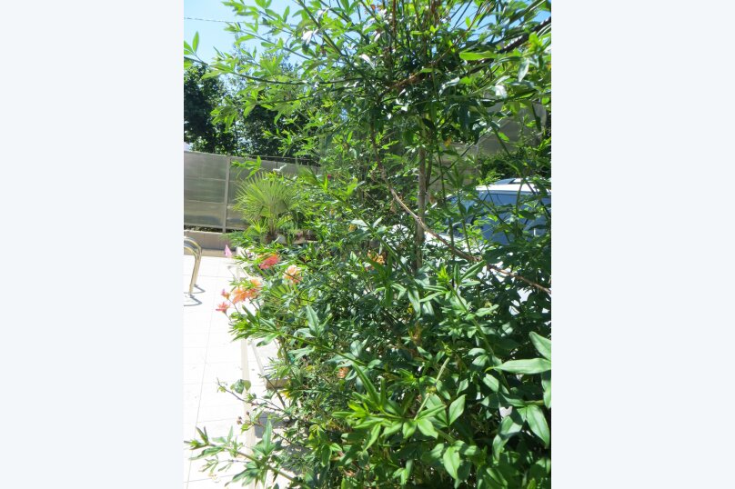 Фото Фортуна