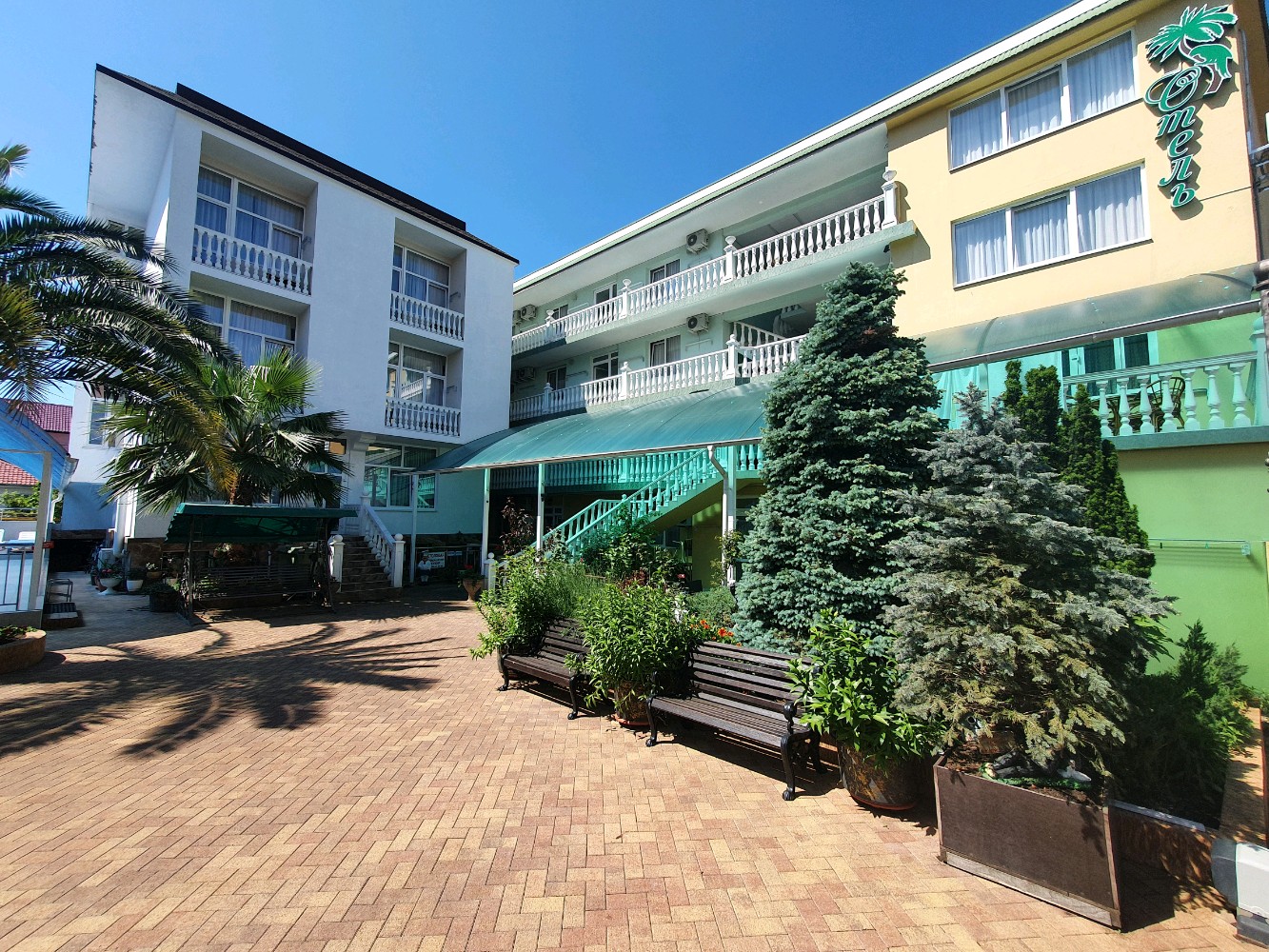 Фото Зелёный попугай