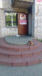 FotoART (Beryozovskaya Street, 108), photography