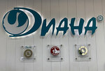 Diana (Bolshaya Pionerskaya Street, 40с1), dry cleaning