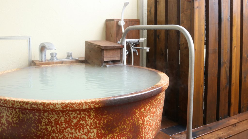 Фото Hotel Sun Valley Nasu