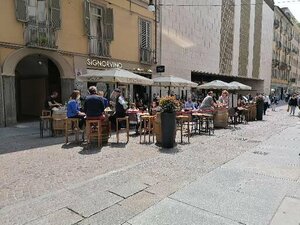 Signorvino (Piedmont, Provincia di Torino, Via Lagrange, 13), bar, pub