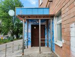 Славутич (Zvezdinka Street, 5) ، مجموعة فنية