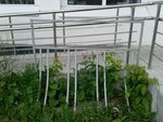 Велопарковка (ulitsa Karla Marksa, 5), estacionamiento de bicicletas