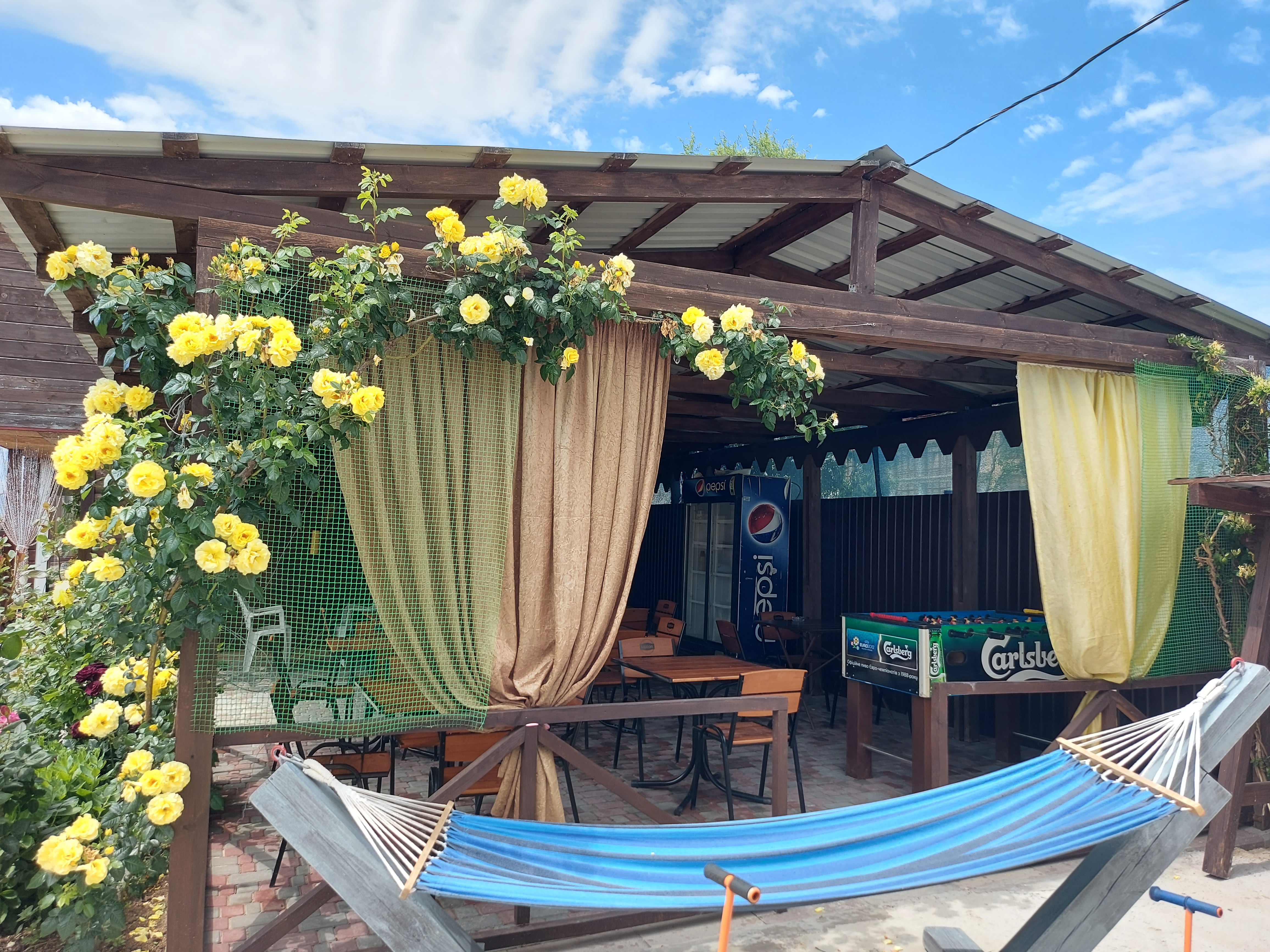 Фото Хороший гость