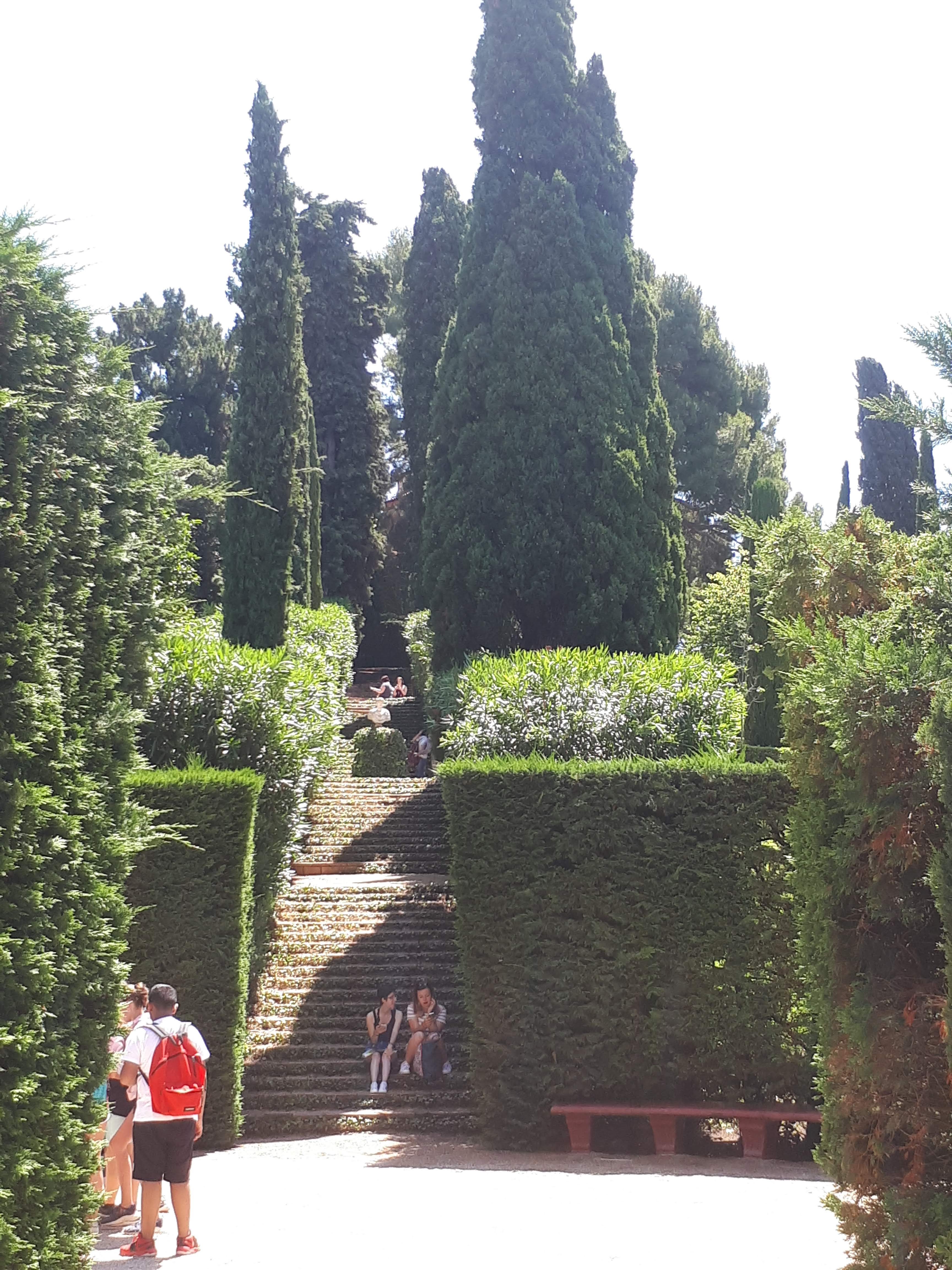 Фото Fenals Garden