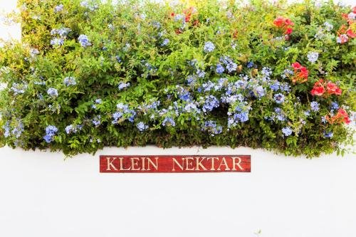 Фото Klein Nektar Manor