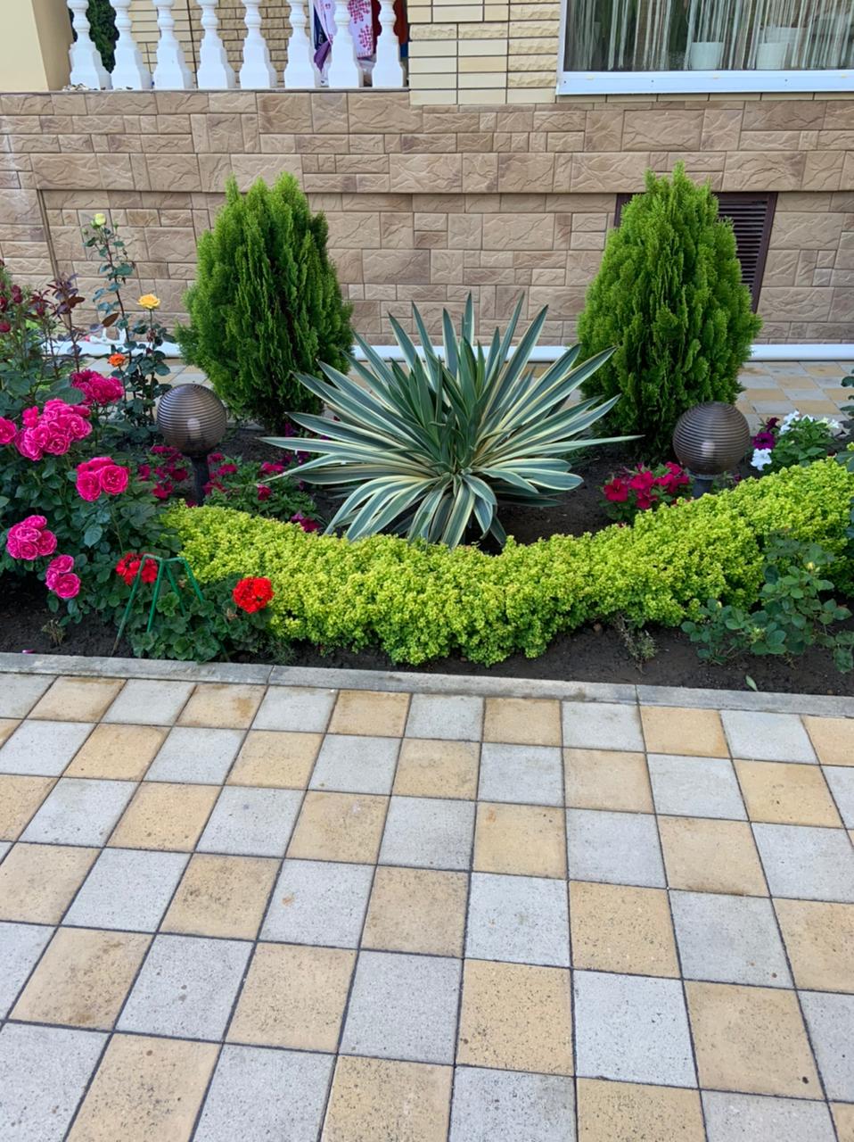 Фото Астория