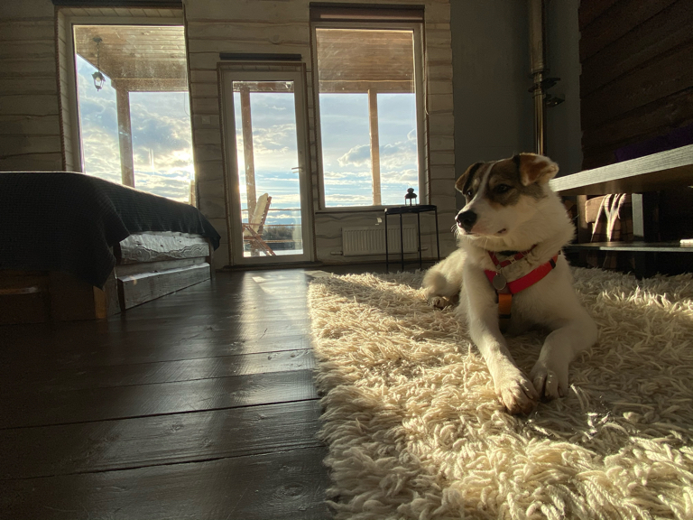 Фото Chuchemlya eco village