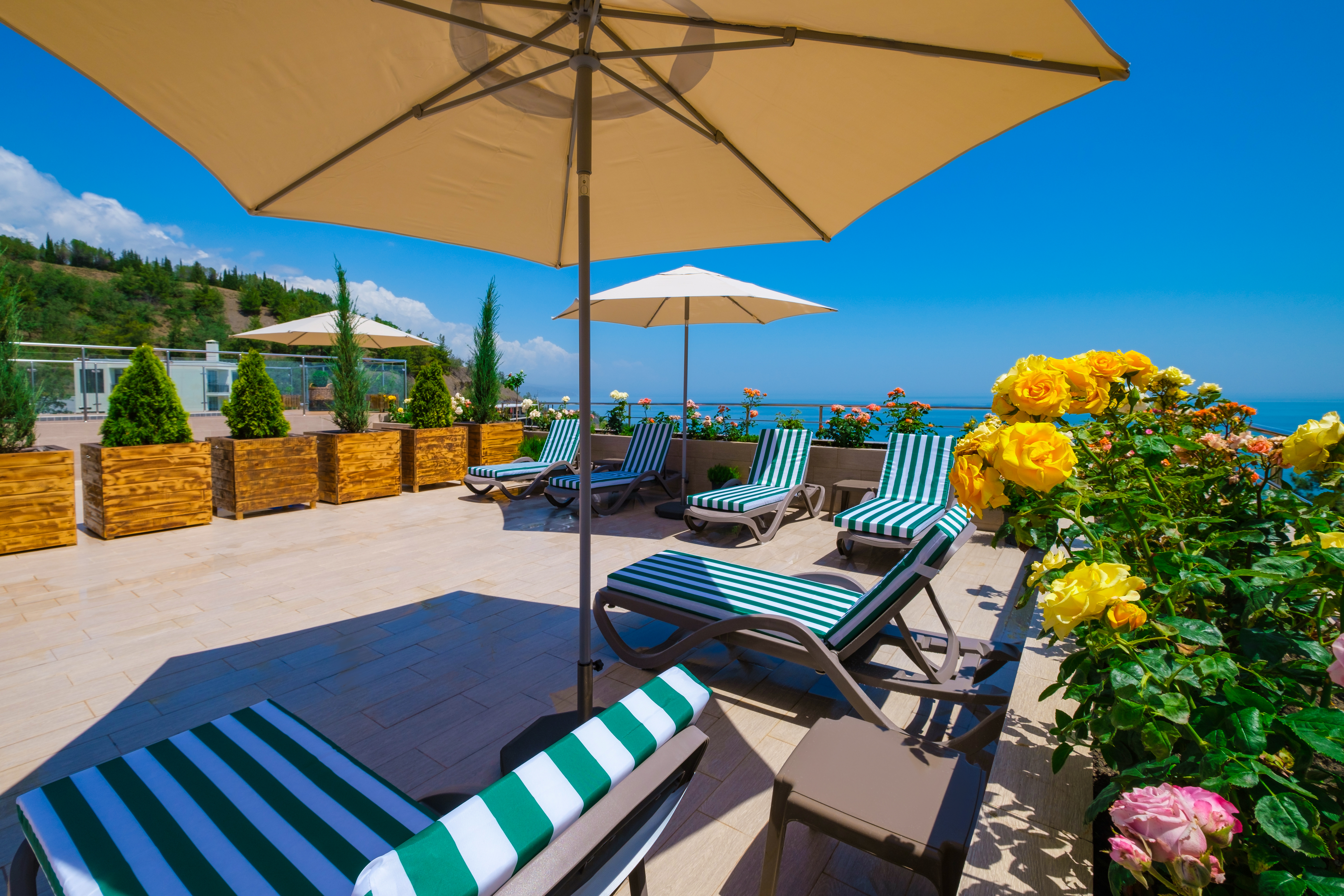 Фото Bella Safia